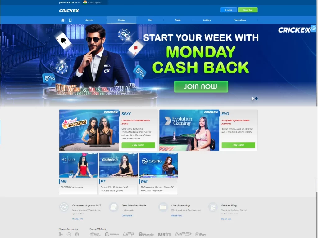 Crickex website screenshot 2